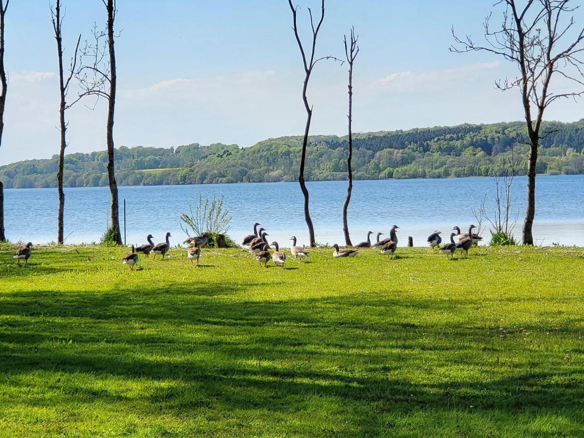 Sommerhus Ved Mosso Med Sokig Skanderborg Exteriör bild
